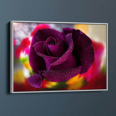 Purple Rose