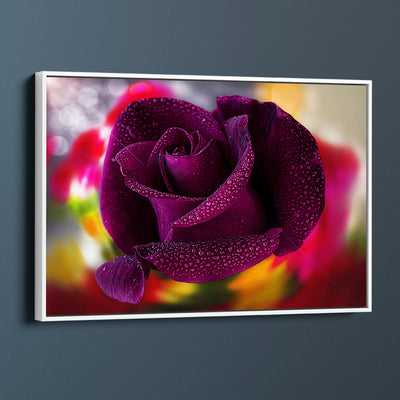 Purple Rose