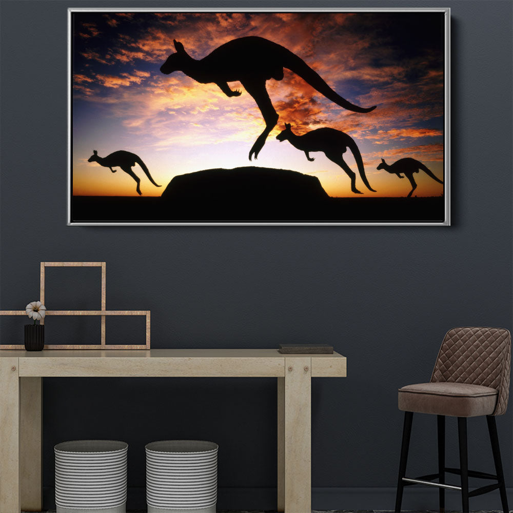 Kangaroo Adventure
