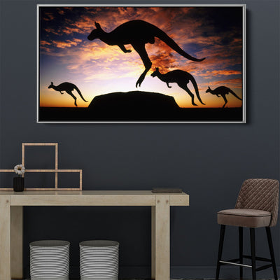 Kangaroo Adventure
