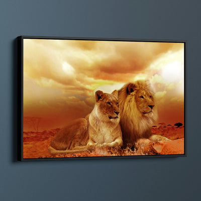 Beautiful Lion Couple