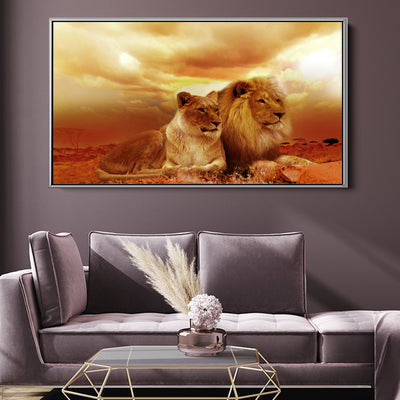 Beautiful Lion Couple