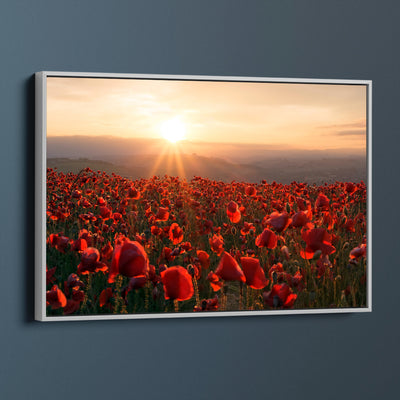 A Field Of Red