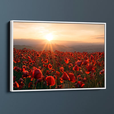 A Field Of Red