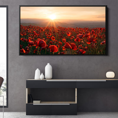 A Field Of Red
