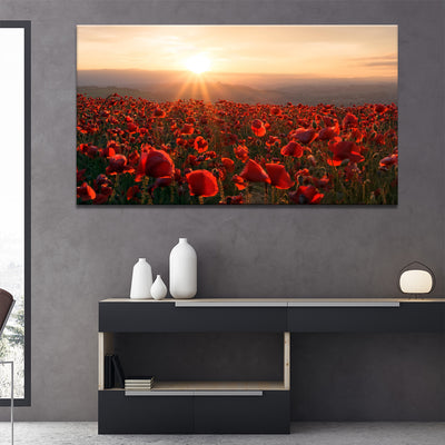 A Field Of Red
