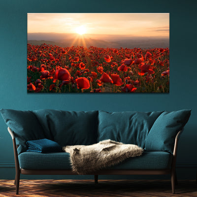 A Field Of Red