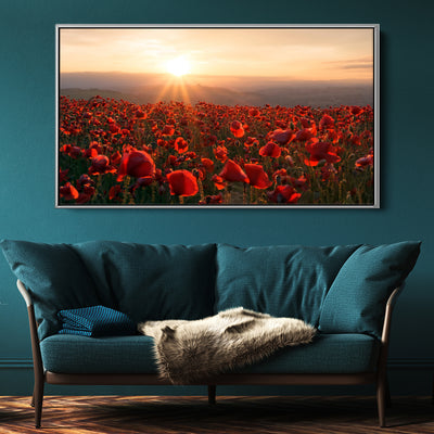 A Field Of Red