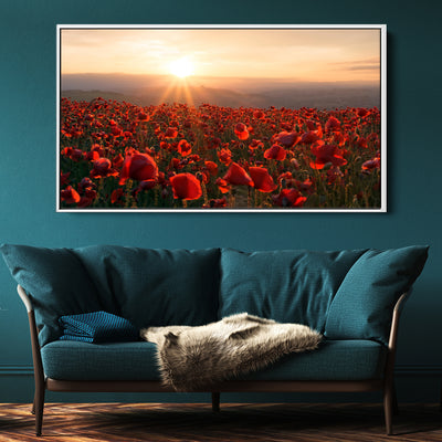 A Field Of Red