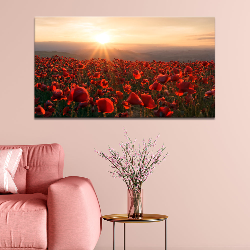 A Field Of Red