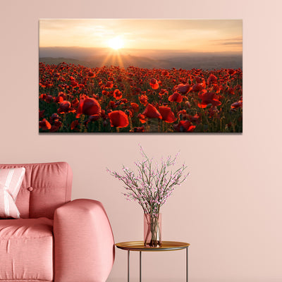 A Field Of Red