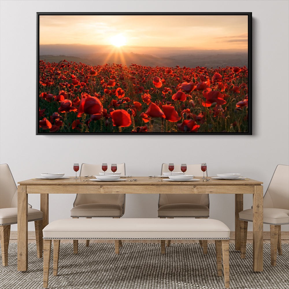 A Field Of Red
