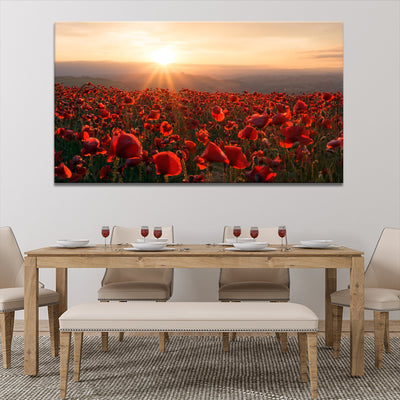 A Field Of Red