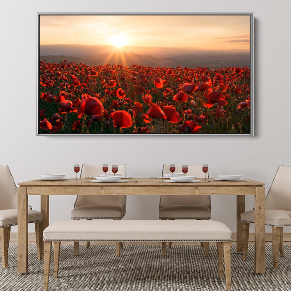 A Field Of Red