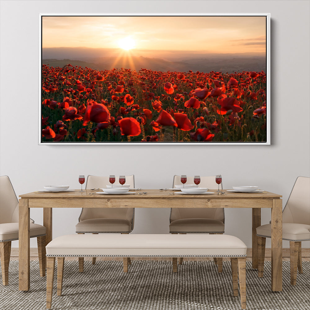 A Field Of Red