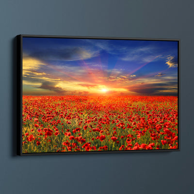 Golden Field Of Poppies