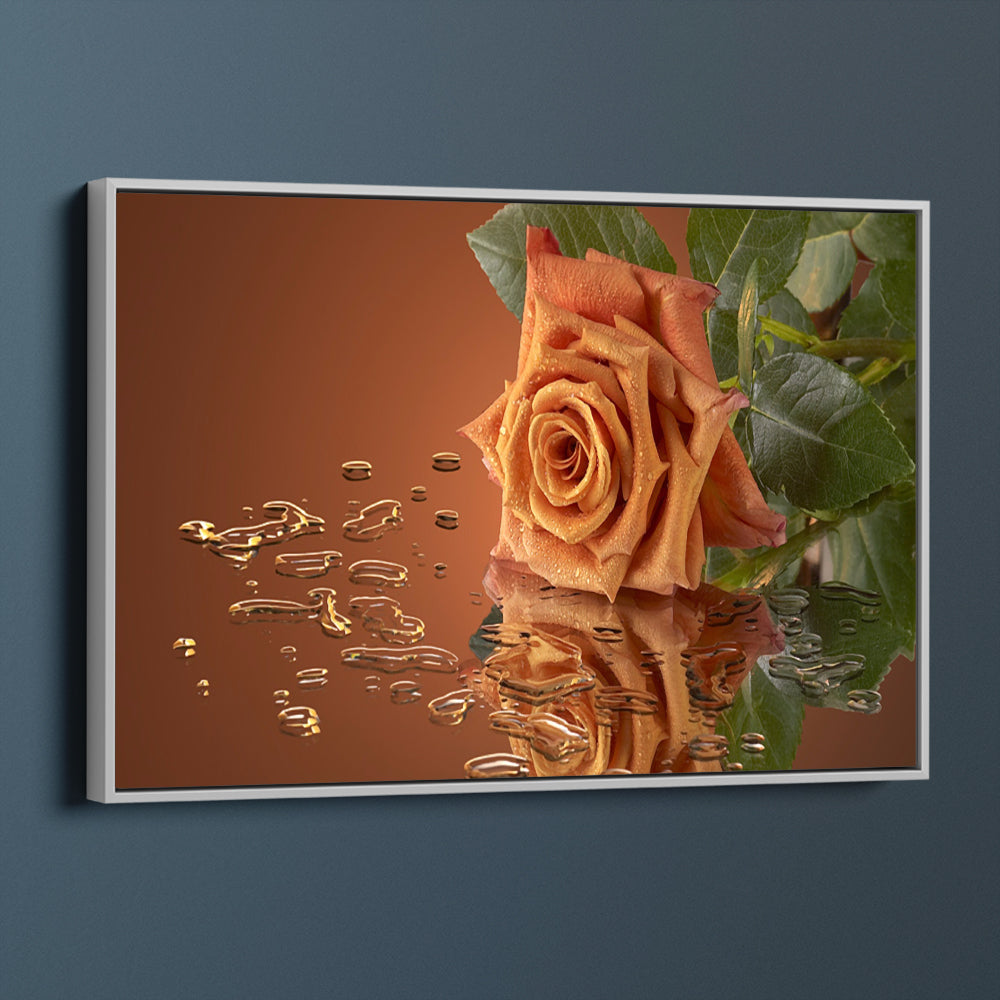 Orange Rose