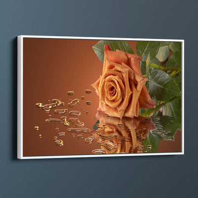 Orange Rose