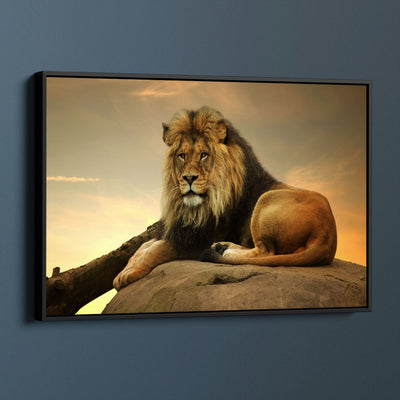 Majestic Lion