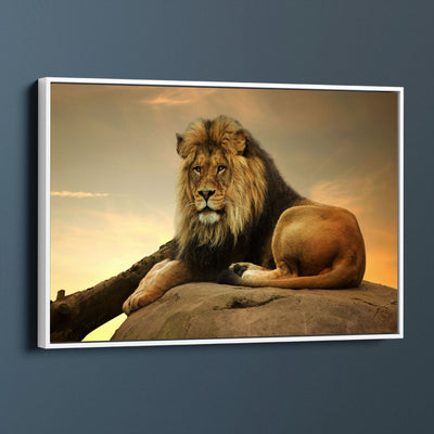 Majestic Lion