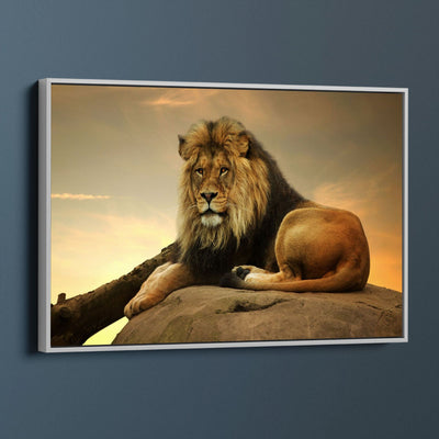 Majestic Lion
