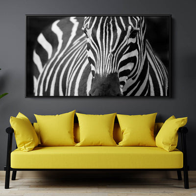 Majestic Zebra