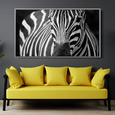 Majestic Zebra