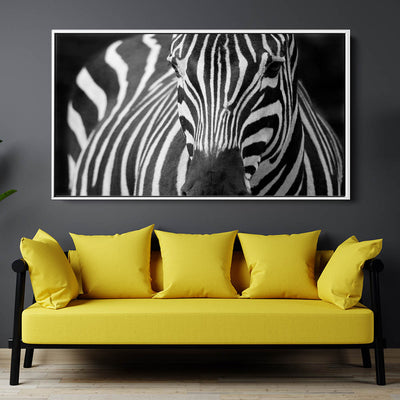 Majestic Zebra
