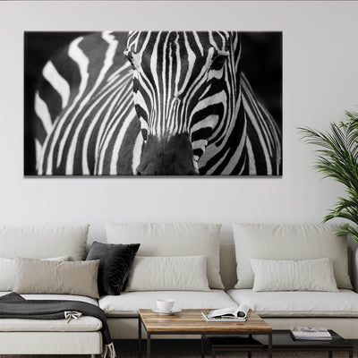 Majestic Zebra