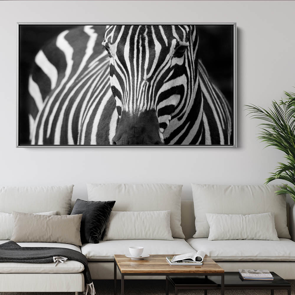 Majestic Zebra
