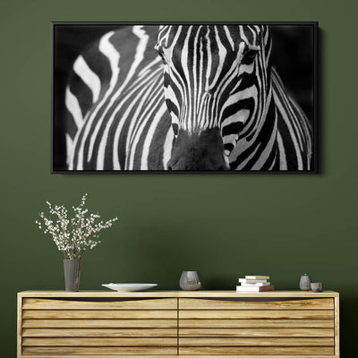 Majestic Zebra