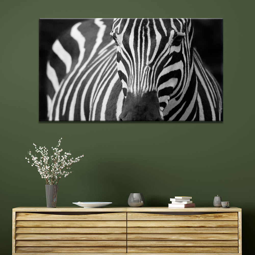 Majestic Zebra