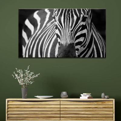 Majestic Zebra