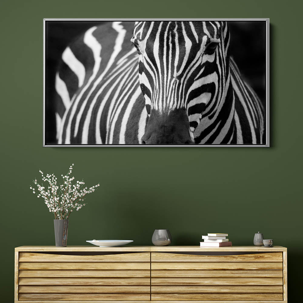 Majestic Zebra