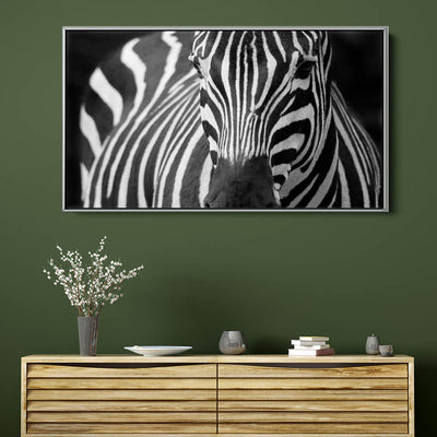 Majestic Zebra