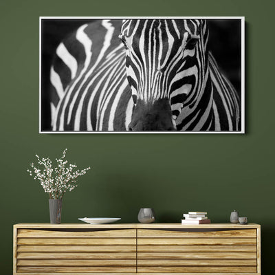 Majestic Zebra