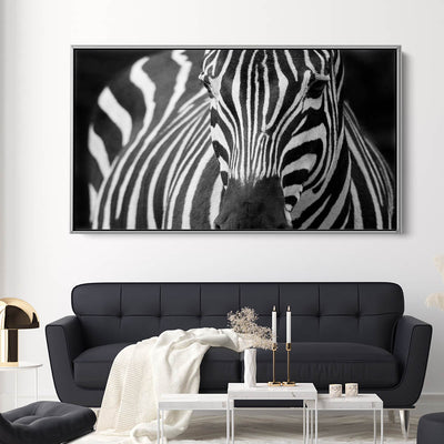Majestic Zebra