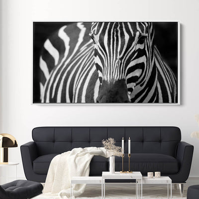 Majestic Zebra
