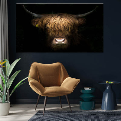 Highland Cow