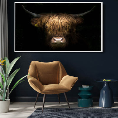 Highland Cow