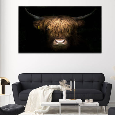 Highland Cow