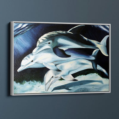 Dolphin Pod