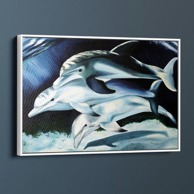 Dolphin Pod