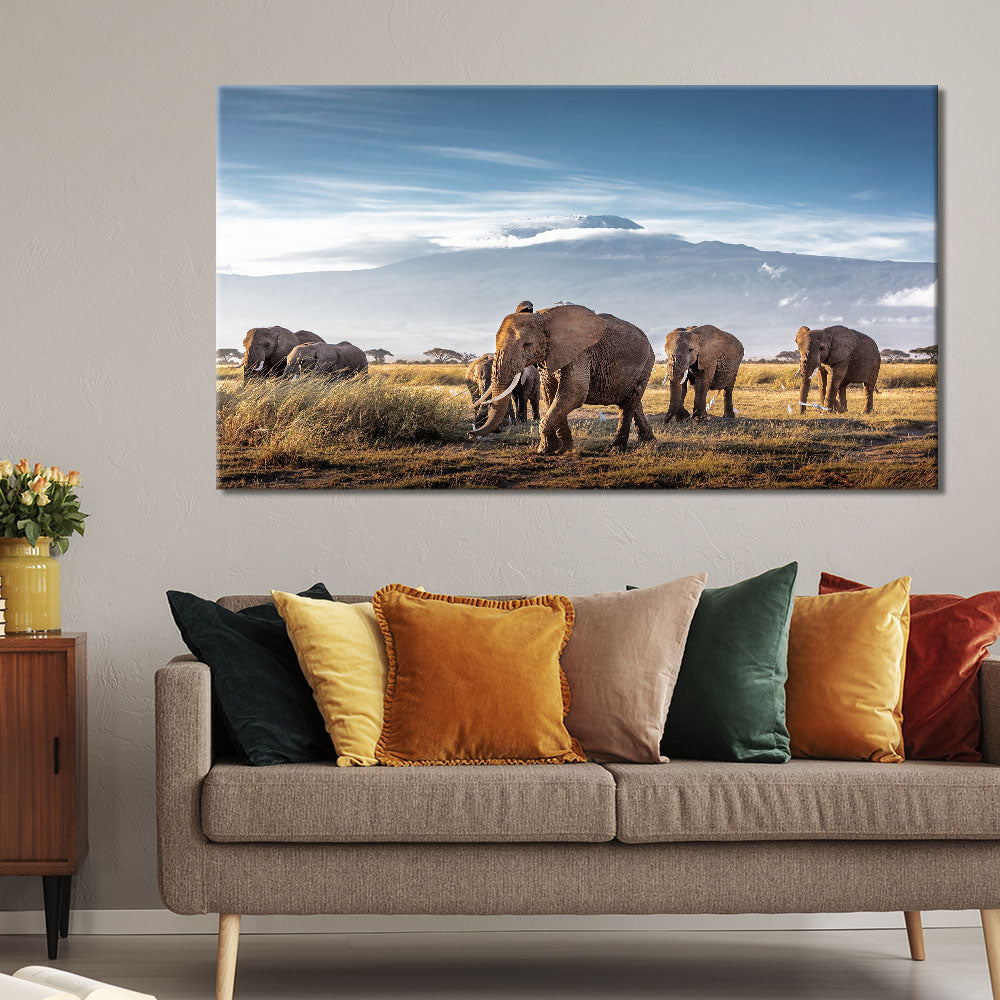 Elephants On The Safari