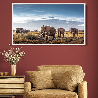 Elephants On The Safari