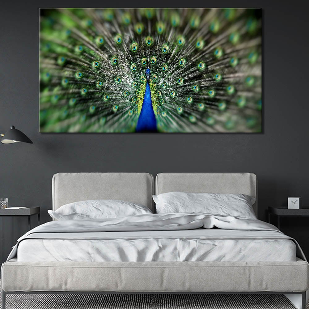 Proud Peacock