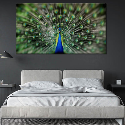 Proud Peacock