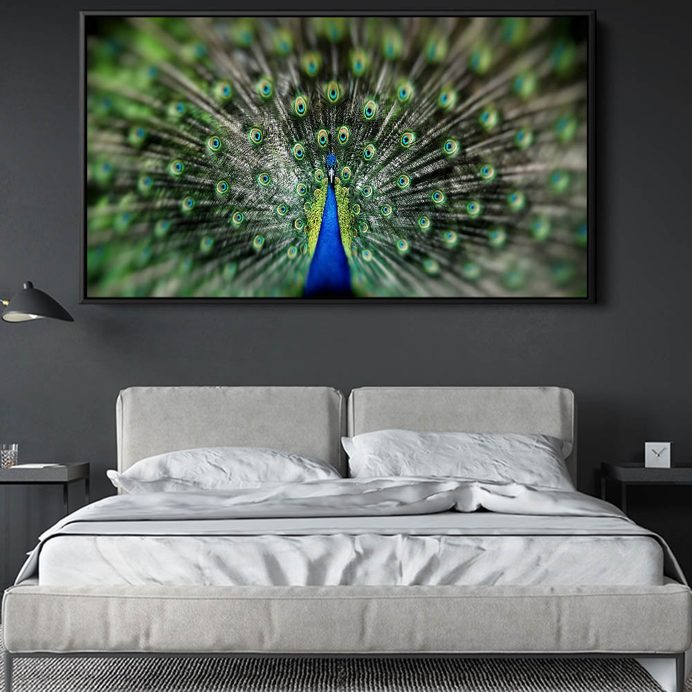 Proud Peacock