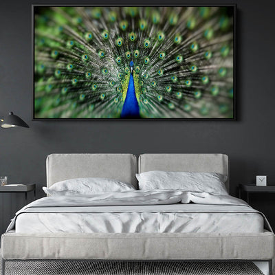 Proud Peacock