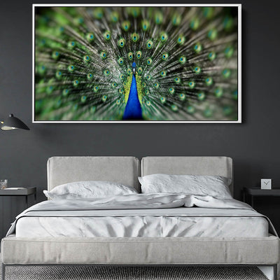 Proud Peacock